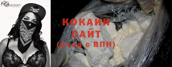 тгк Абаза