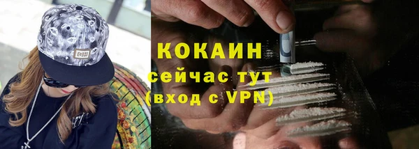 тгк Абаза