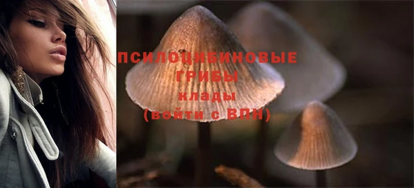 соль курить ск Абинск