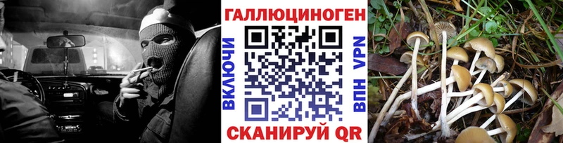 маркетплейс наркотические препараты  Ирбит  Галлюциногенные грибы MAGIC MUSHROOMS  где купить наркотик 